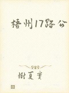 梧州17路公交