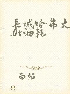 长城哈弗大狗2.0t油耗