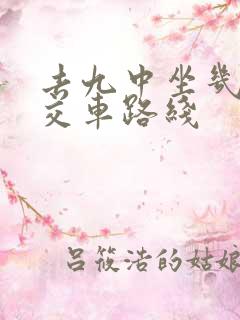 去九中坐几路公交车路线