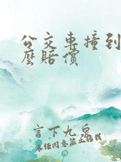 公交车撞到人怎么赔偿