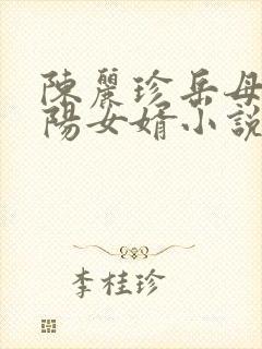 陈丽珍岳母,宋阳女婿小说