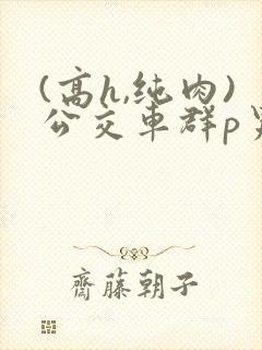 (高h,纯肉)公交车群p男男