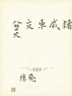 公交车咸猪手夏天