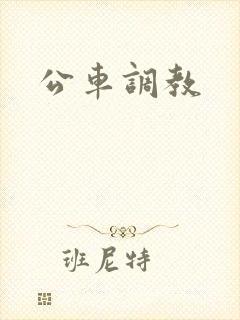 公车调教