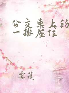公交车上的最后一排座位
