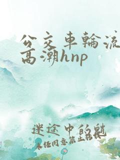 公交车轮流操到高潮hnp
