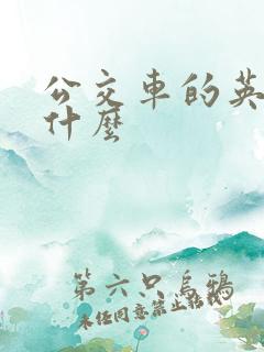 公交车的英文是什么