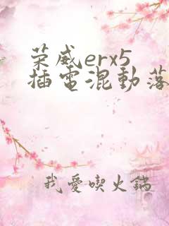 荣威erx5 插电混动落地多少钱
