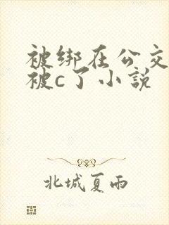 被绑在公交车里被c了小说