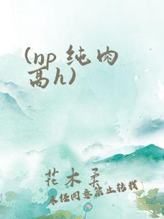 (np 纯肉 高h)