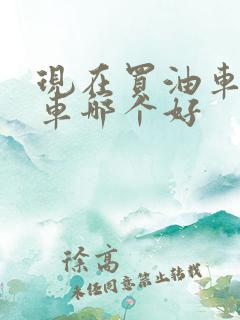 现在买油车和电车哪个好