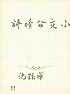 诗晴公交小说