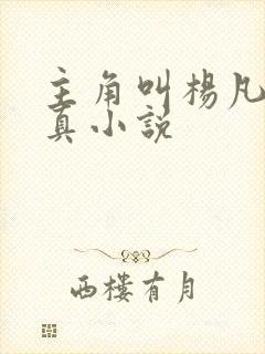 主角叫杨凡的修真小说