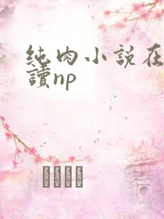 纯肉小说在线阅读np