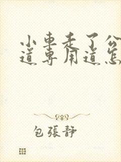 小车走了公交车道专用道怎么办