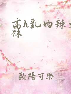 高h乱肉辣文丝袜