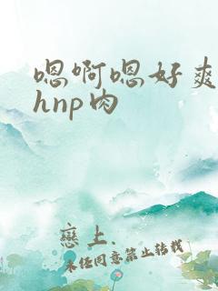 嗯啊嗯好爽啊高hnp肉