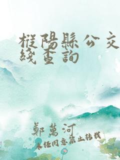 枞阳县公交车路线查询