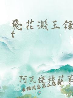 飞花溅玉录txt