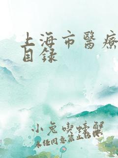 上海市医疗收费目录