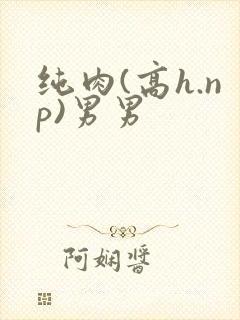 纯肉(高h.np)男男