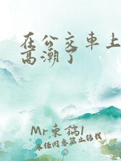 在公交车上被摸高潮了