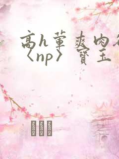 高h荤爽肉欲文〈np〉宝玉