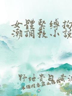 女体紧缚拘束高潮调教小说