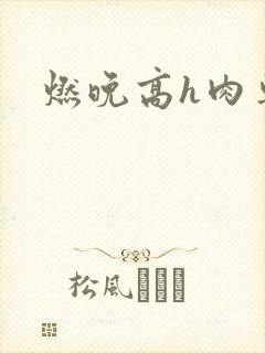 燃晚高h肉车文