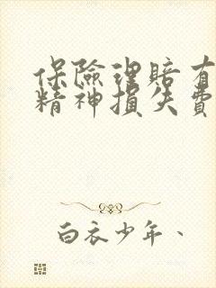 保险理赔有没有精神损失费一说