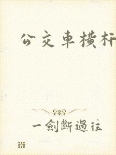 公交车横杆多高