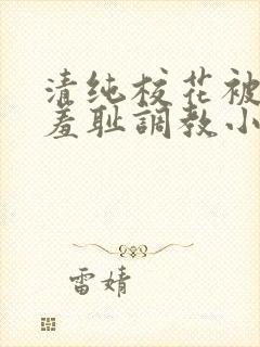 清纯校花被民工羞耻调教小说
