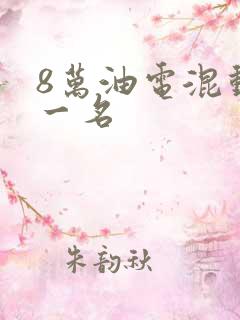 8万油电混动第一名