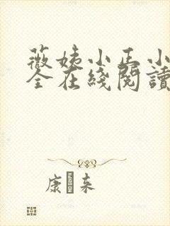 薇姨小正小说大全在线阅读