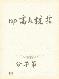 np高h校花