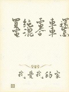 买纯电车还是油电混合车怎么选择