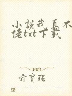 小说我真不是大佬txt下载