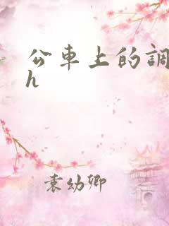 公车上的调教高h