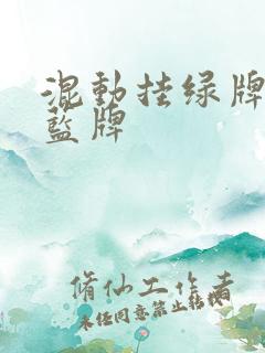混动挂绿牌还是蓝牌