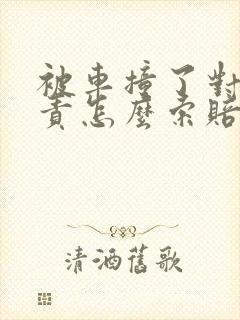 被车撞了对方全责怎么索赔