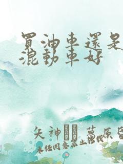买油车还是插电混动车好