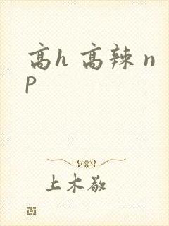 高h 高辣 np