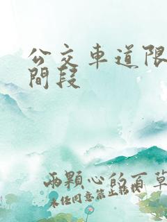 公交车道限行时间段