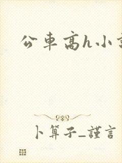 公车高h小说