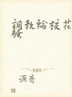 调教轮校花小说骚