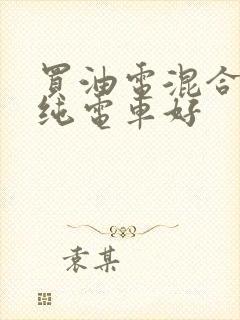 买油电混合还是纯电车好