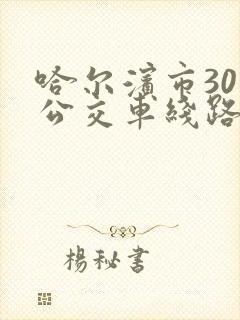 哈尔滨市30路公交车线路图