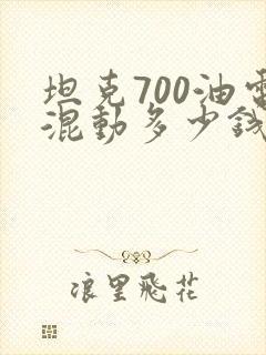 坦克700油电混动多少钱