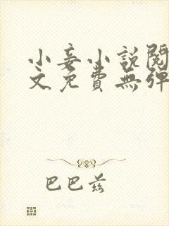 小妾小说阅读全文免费无弹窗