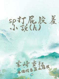 sp打屁股羞耻小说(h)